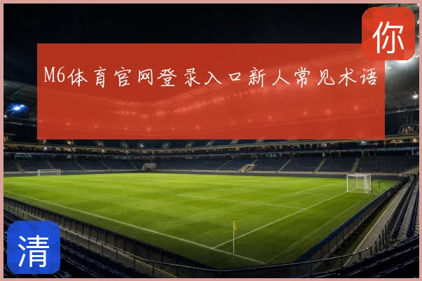 M6体育官网登录入口新人常见术语