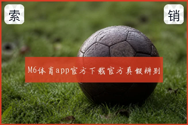 M6体育app官方下载官方真假辨别