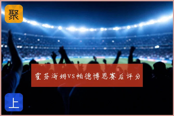 霍芬海姆vs帕德博恩赛后评分